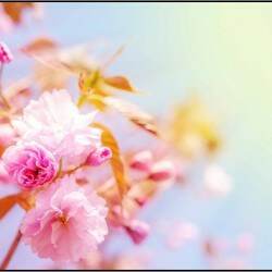 Spring Image Update 2106